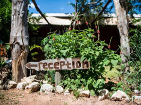 Nxabii Cottages